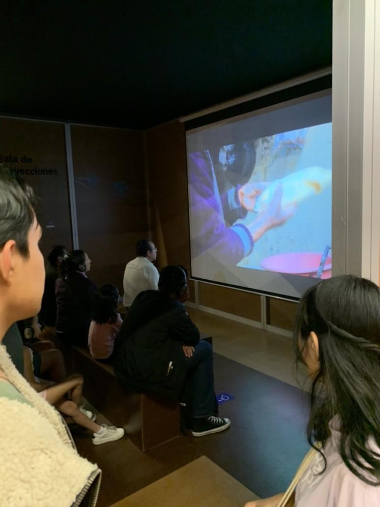 멕시코 민족