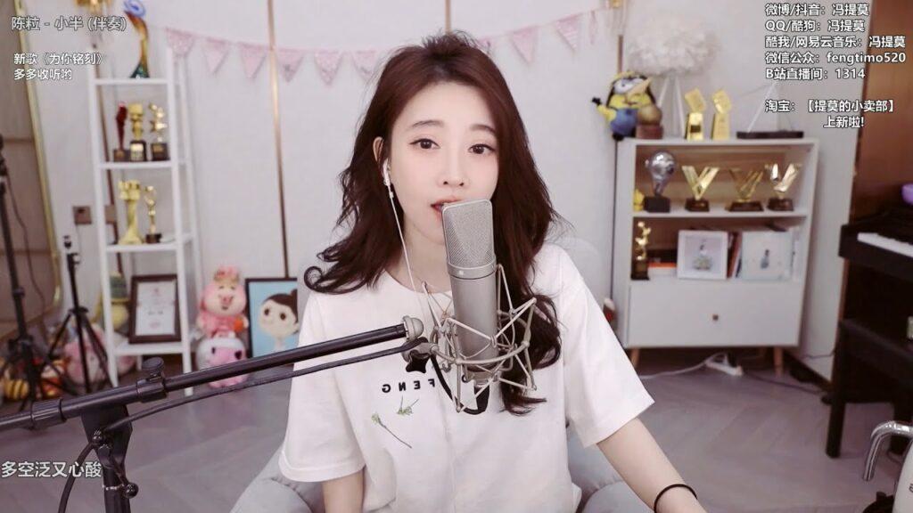고양이 송