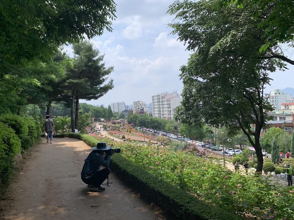 부천 장미공원
