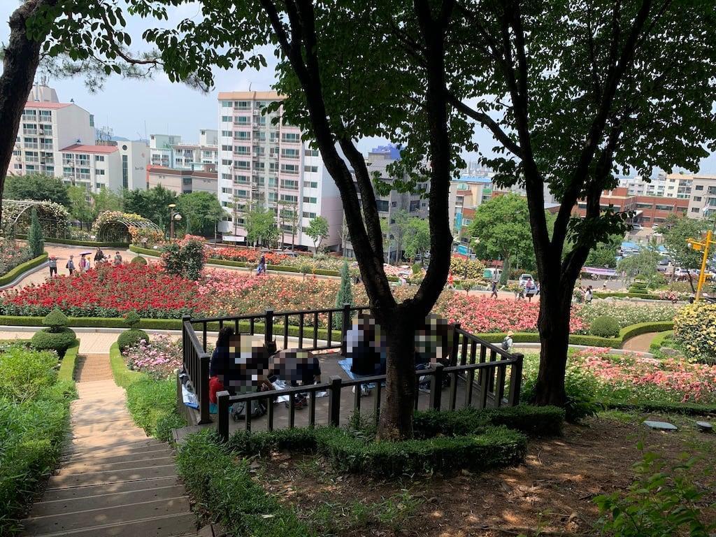 공원 추태