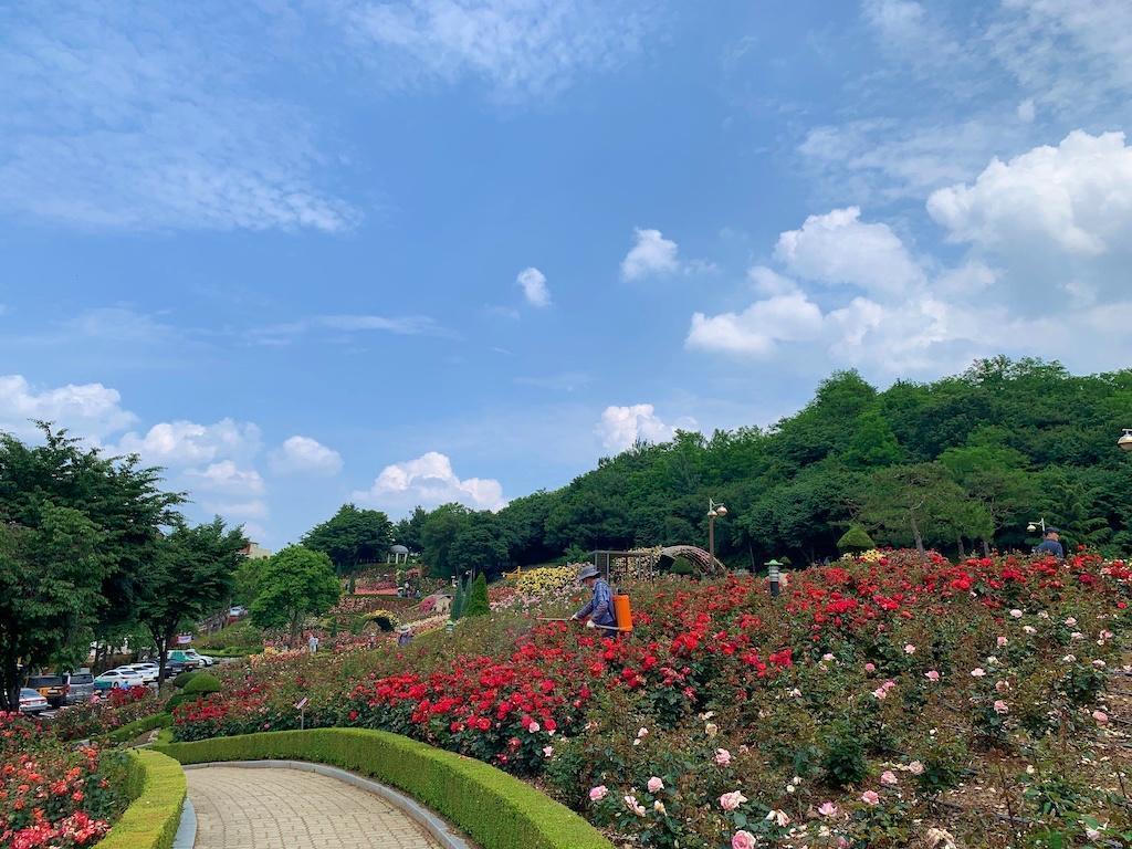 부천 공원