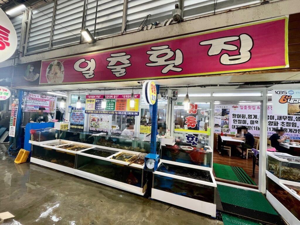 강원도 바다의 맛! 주문진 수산시장 간판 맛집 일출횟집 물회