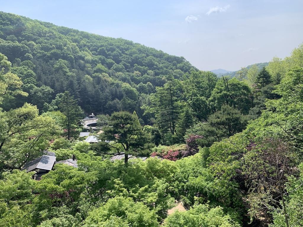 생태수목원 화담숲