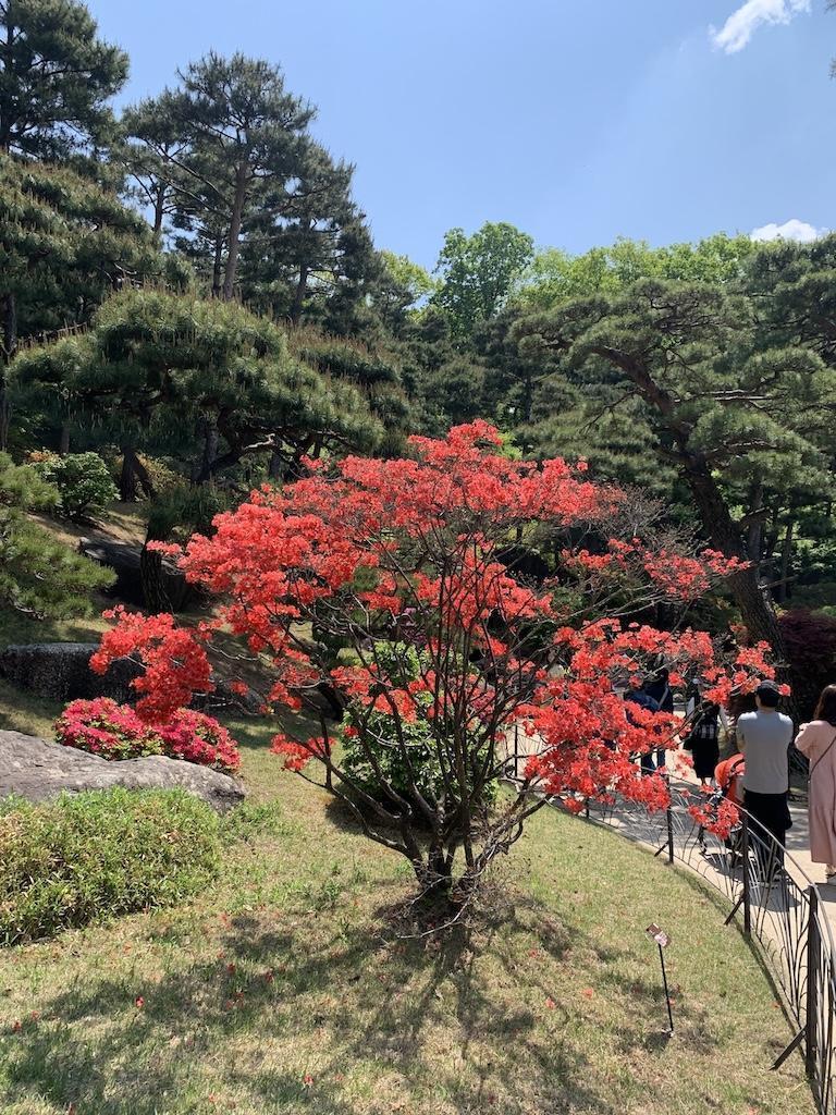 수목원 화담숲
