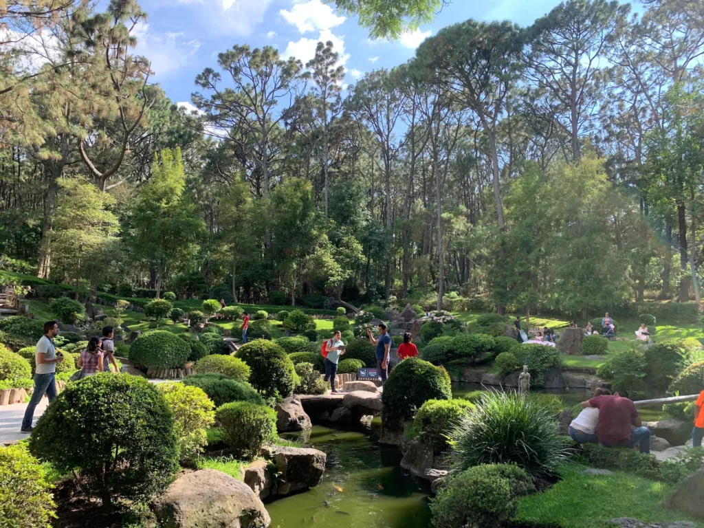 과달라하라 콜로모스 공원(Bosque Los Colomos)에서 힐링하기! 관련 사진 및 안내