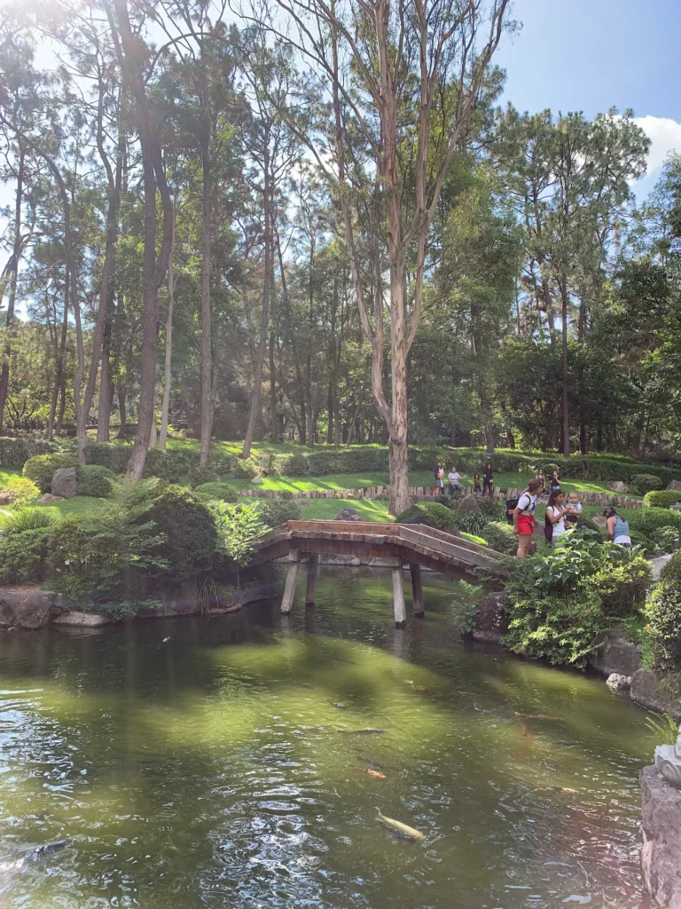 과달라하라 콜로모스 공원(Bosque Los Colomos)에서 힐링하기! 관련 사진 및 안내