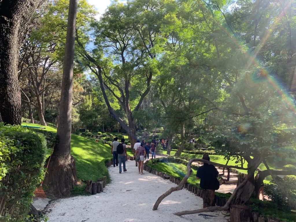 과달라하라 콜로모스 공원(Bosque Los Colomos)에서 힐링하기! 관련 사진 및 안내