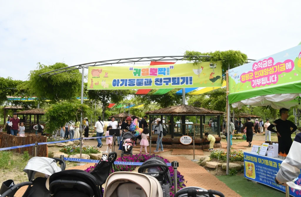 함평 나비 축제 2025 — 나비 수만 마리가 만드는 봄 풍경 관련 사진 및 안내